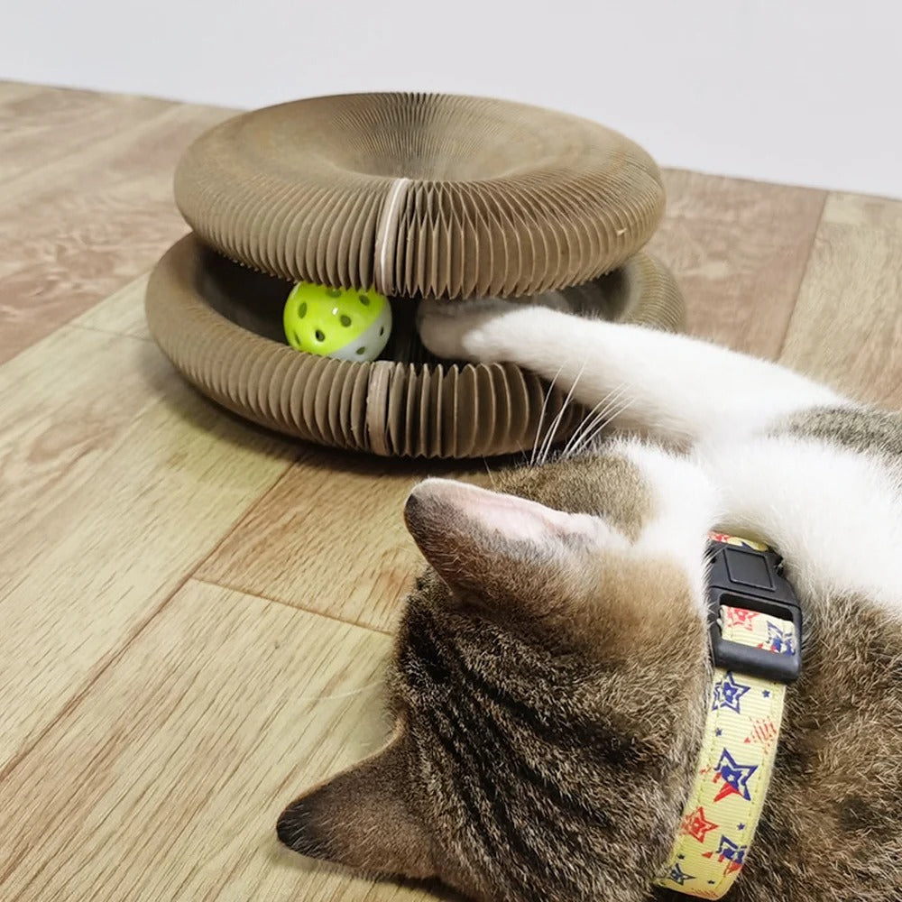 Magic Paws™ – 2-in-1 Interactive Cat Scratcher & Play Board